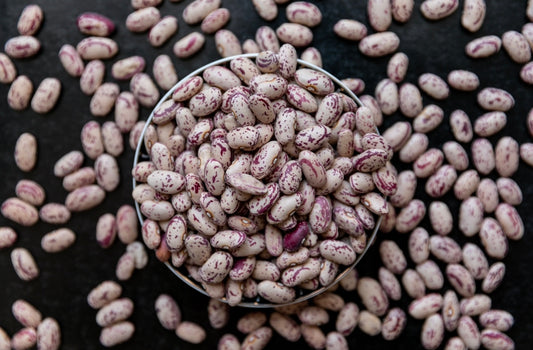 FAGIOLI BORLOTTI ARGENTINA