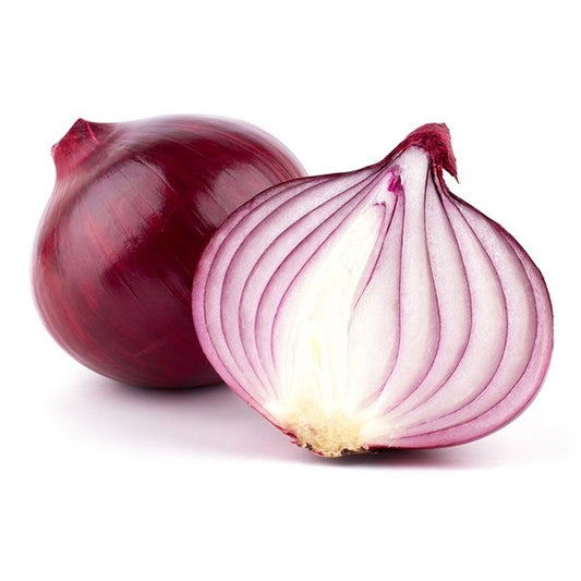 CIPOLLA ROSSA